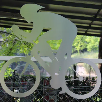 image of cycle profile