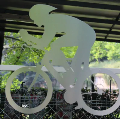 image of cycle profile